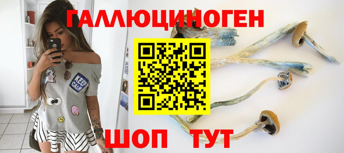 Галлюциногенные грибы мицелий  Вход с VPN  Электрогорск 